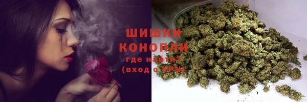 мдпв Корсаков