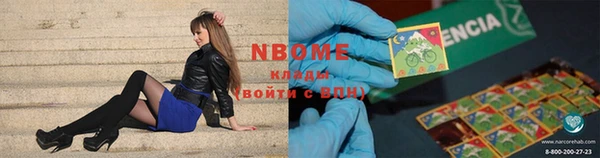 стаф Козловка