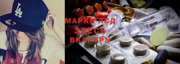 стаф Козловка