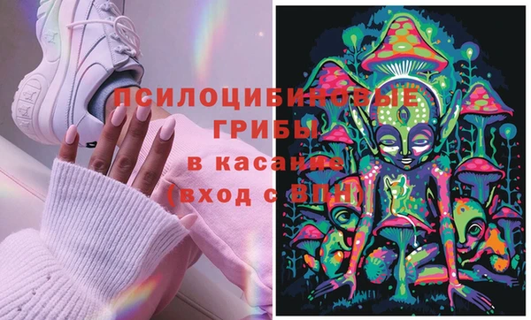 мдпв Корсаков