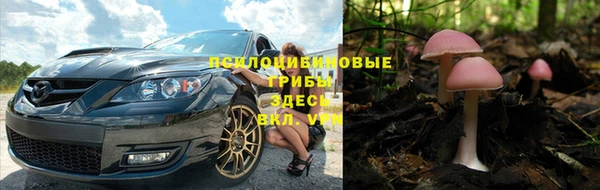 мдпв Корсаков