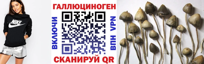 Псилоцибиновые грибы GOLDEN TEACHER  мега как войти  Шарья 