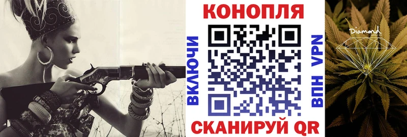 Конопля индика Шарья